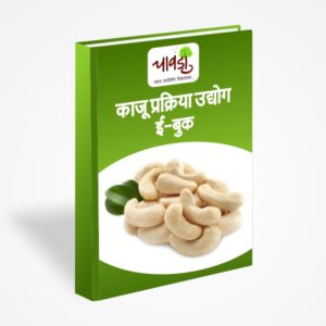 Cashew Processing EBook