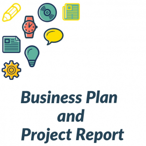 business project report