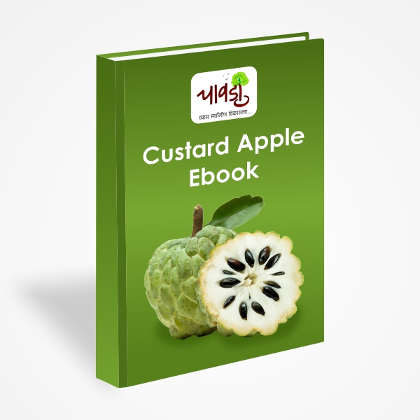 Custard Apple Processing Ebook