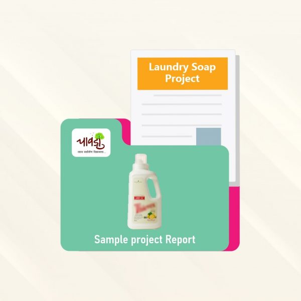 Laundry Soap Sample Project Report