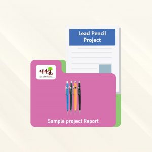 Lead Pencil Sample Project Report