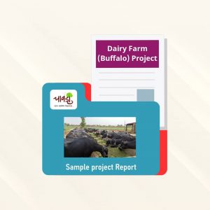 Dairy Farm (Buffalo) Sample Project Report