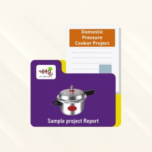 Domestic Pressure Cooker Sample Project Report