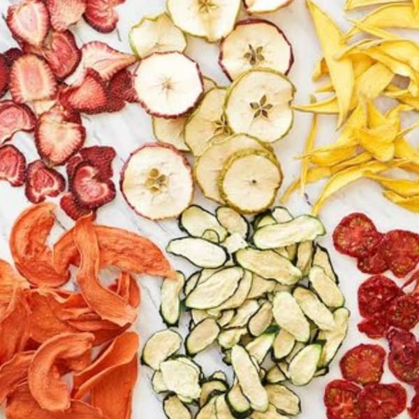 Vegetable Dehydration Process course