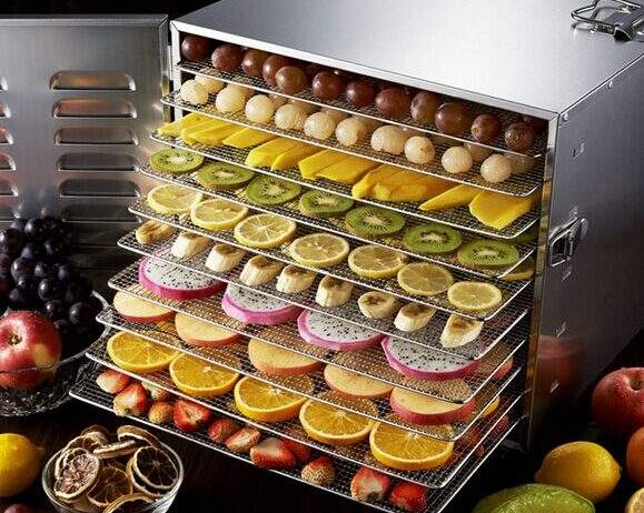 Vegetable Dehydration Machine Manufacturer