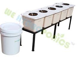 Hydroponic Dutch Bucket