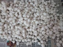 Cotton wick Supplier