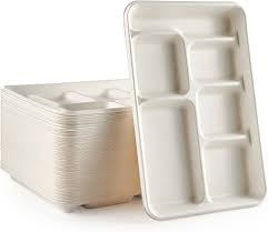 Plastic Compartment Plate