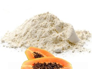 Papain-Suppliers