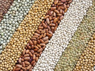 Organic-Cereals-And-Pulses-Supplier