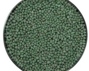 Trichoderma-Harzianum-Supplier