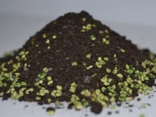 Mycorrhiza-Supplier