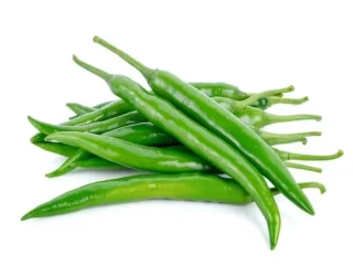 G4-Chilli-In-Maharashtra