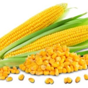 Maka Processing Online Training Program (Regular)