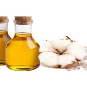 Sarki Pend & Oil Manufacturing Online Training Program (Regular)