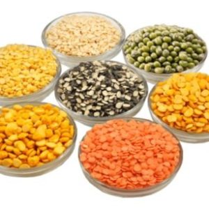Dal Mill Business Online Training Program (Regular)
