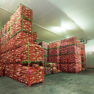 Cold Storage Regular Online Hindi Training Program