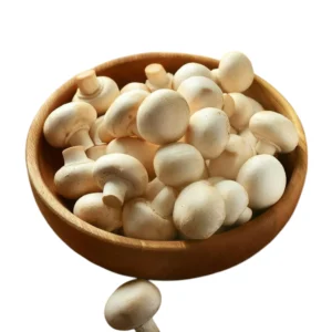 Mushroom Farming Digital E-book