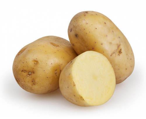 Potato Supplier
