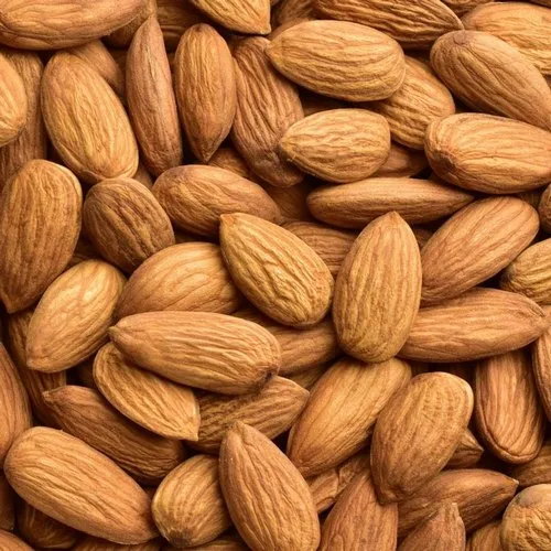 Almond Nut Supplier