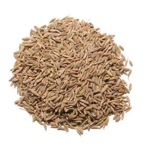 Cumin seeds Supplier