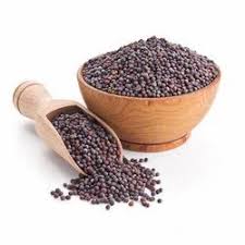 Mustard seeds Supplier