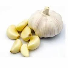 Garlic-Supplier