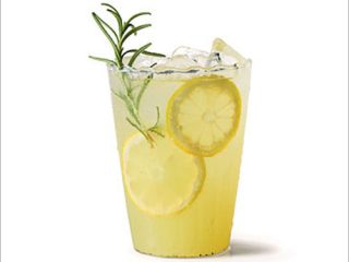 Lemon-Sharbat-Supplier