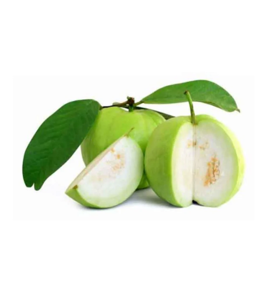 Guava Supplier