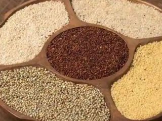 Organic-Millet-Supplier