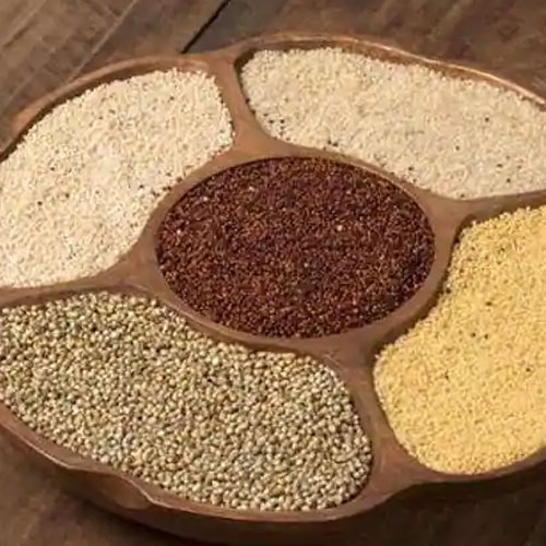 Organic Millet Supplier