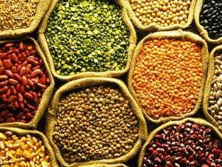 Agro-Products-Supplier