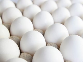 Egg-Supplier