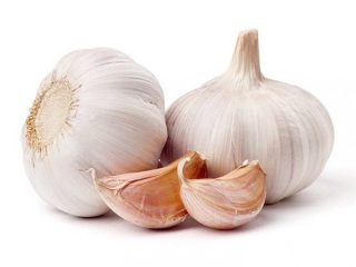Fresh-Garlic-Supplier